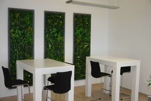 Eventfläche im HTCN Nürnberg Eventraum, Meetingfläche & Lounge